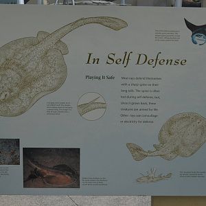 Aquarium Signage