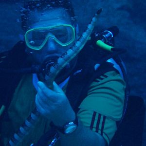 Diver with Brownbanded Seasnake