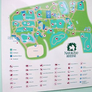 Map at Rheine, 03/06/12