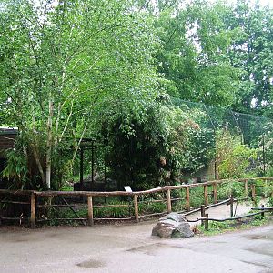 Tiger Exhibit at Rheine, 03/06/12