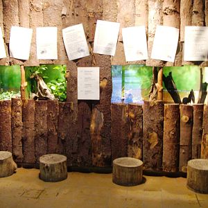 Arachnid Exhibits at Rheine, 03/06/12