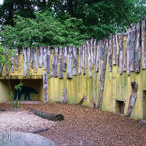 Former Bear Exhibit at Rheine, 03/06/12
