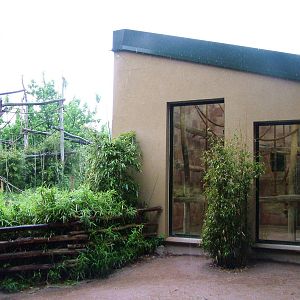 Gibbon House at Rheine, 03/06/12