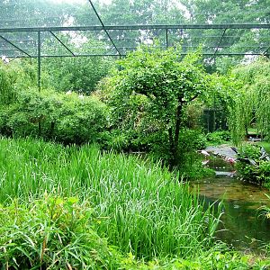 Walkthrough Aviary at Rheine, 03/06/12