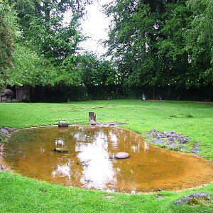 Emu/Wallaby Paddock at Rheine, 03/06/12