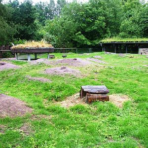 Prairie Marmot Exhibit at Rheine, 03/06/12