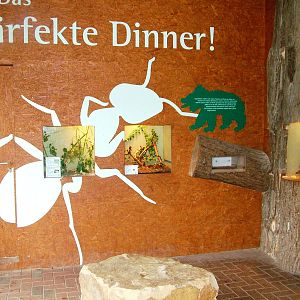 Invertebrate Exhibits at Rheine, 03/06/12