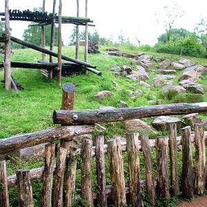 Sloth Bear Exhibit at Rheine, 03/06/12