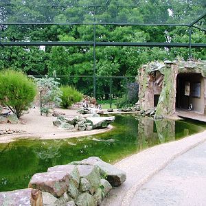 Penguin and Tern Exhibit at Rheine, 03/06/12