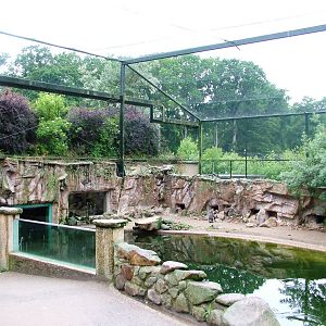 Penguin and Tern Exhibit at Rheine, 03/06/12