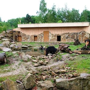 Sloth Bear Exhibit at Rheine, 03/06/12