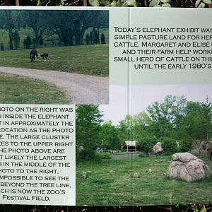 elephant exhibit before and after
