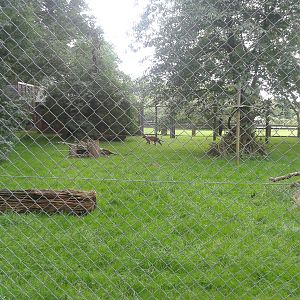 serval enclosure
