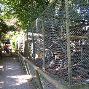 View of old Coati and vervet monkey enclosures