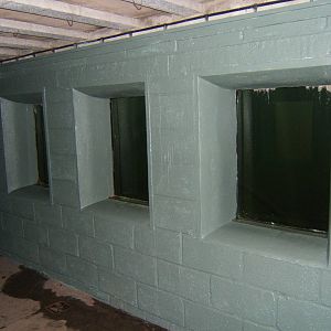 View of European Otter under water viewing