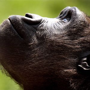 Where is that going?