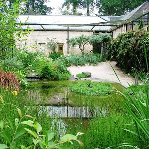 Wader Aviary at Rheine, 03/06/12