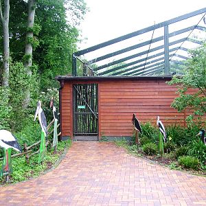 Stork Aviary Entrance at Rheine, 03/06/12