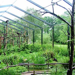 Stork Aviary at Rheine, 03/06/12