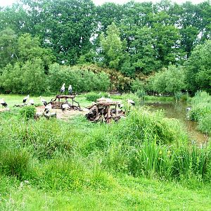 Stork Meadow at Rheine, 03/06/12