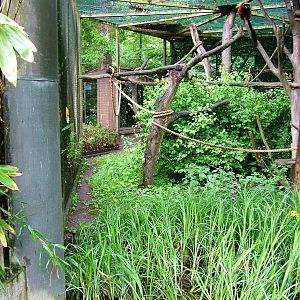 Lemur Exhibit at Rheine, 03/06/12