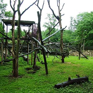 Macaque Exhibit at Rheine, 03/06/12
