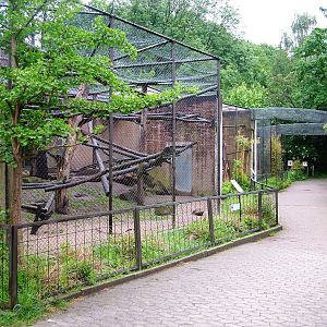 Monkey House at Rheine, 03/06/12