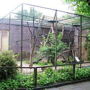 Monkey House at Rheine, 03/06/12