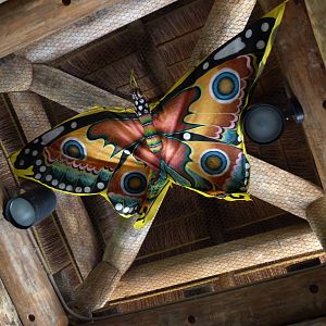 Decor - Trail of the Tiger (7-17-12)