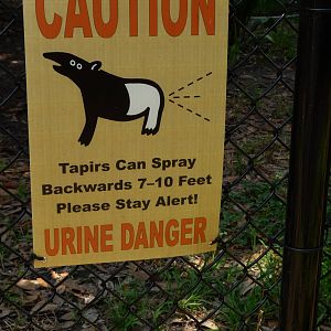 Trail of the Tapir (7-17-12)