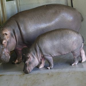 How quickly they grow :o)