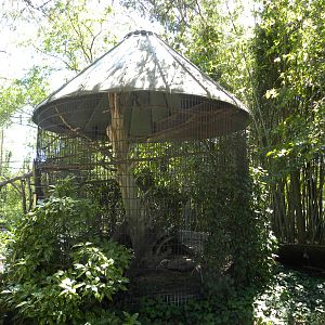 Cage that I believe holds owls