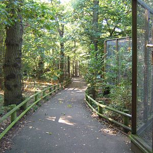View of Woodland Aviary walk