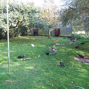 View inside Ibis Aviary