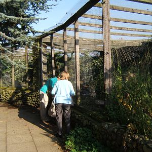 View of Aviary