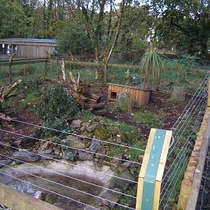 Agouti enclosure