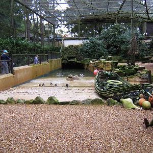 View of wader exhibit