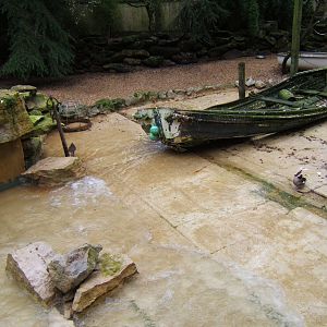 View of wader exhibit
