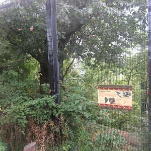 Jul. 2012-Andean Condor aviary