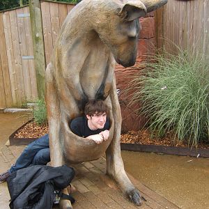 Javan_Rhino trying to prove anything I can do he can do