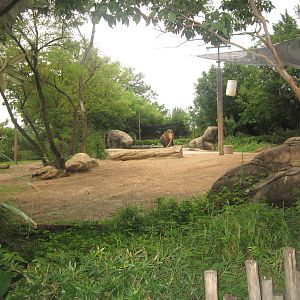 Jul. 2012-1.5 acre Indian Elephant female exhibit