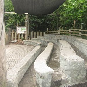 Jul. 2012-Elephant Encounter seating