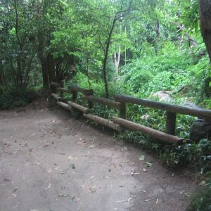Jul. 2012-Muller's Gibbon exhibit viewing