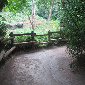 Jul. 2012-1st Sumatran Orangutan exhibit vieiwng