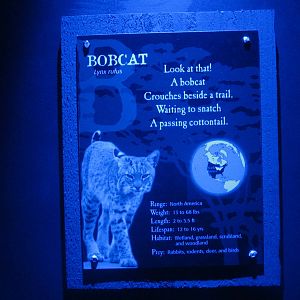 Jul. 2012-Bobcat sign