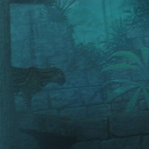 Jul. 2012-Southern Brazilian Ocelot