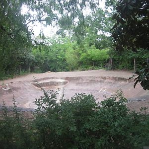 Jul. 2012-2nd Indian Rhinoceros exhibit