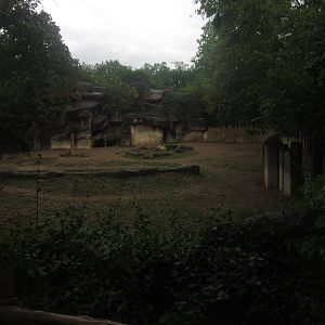 Jul. 2012-Eastern Black Rhinoceros exhibit