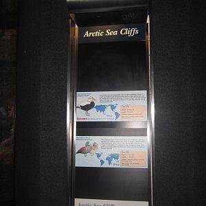 Jul. 2012-Arctic Sea Cliff signs (1)
