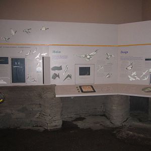 Jul. 2012-Educational Display in Wings of the World